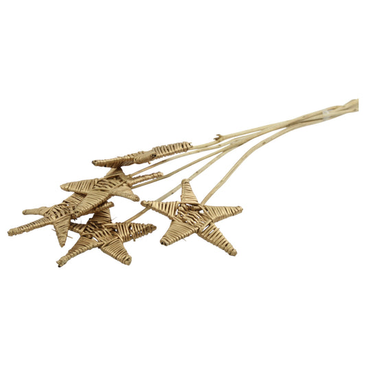 Lata Star #1841   #1840