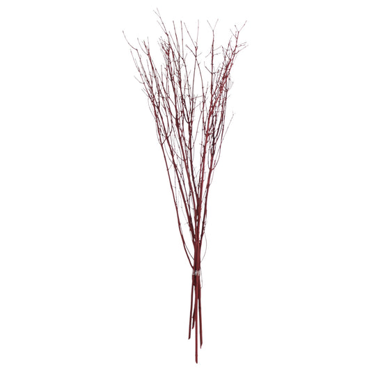 Jay Branches Red
