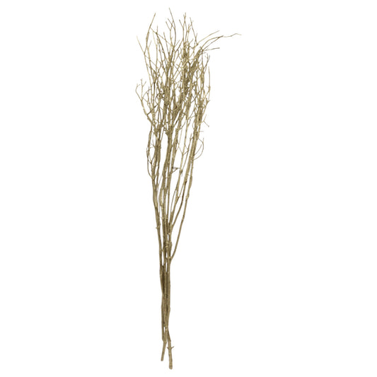 Jay Branches Gold