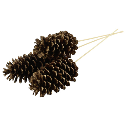 Pine Cone