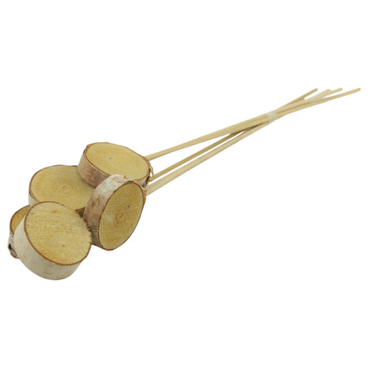 Birch slice on stem #5231
