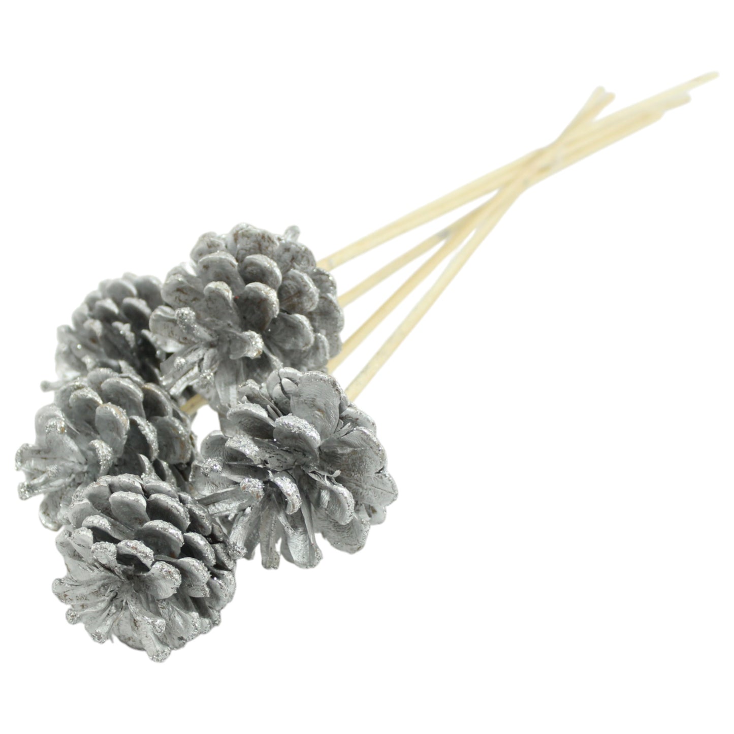 Pine Cones Austrican #9631