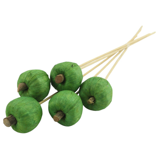 COCO Apple #3921 **