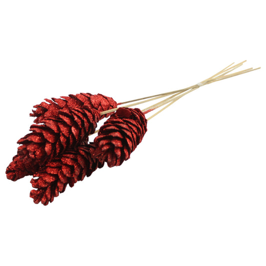Strobus Cone #3085