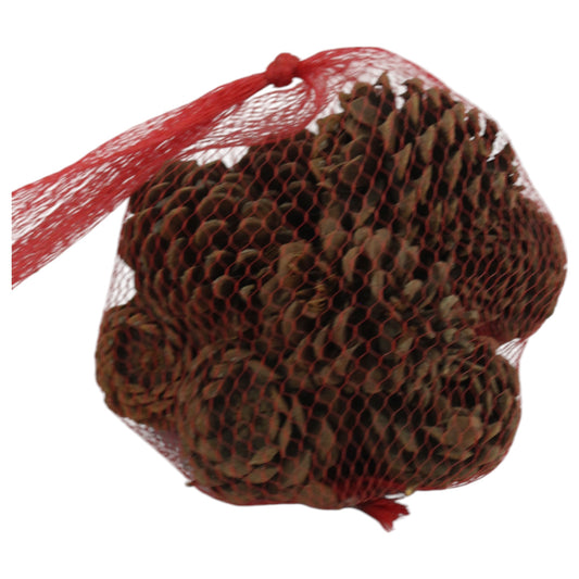 Austrica pine cones (net bag) #3087