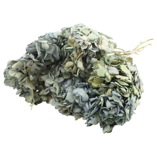 #5471 Dried Hydrangea Bunch