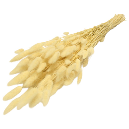 Bunny Tail Bleach