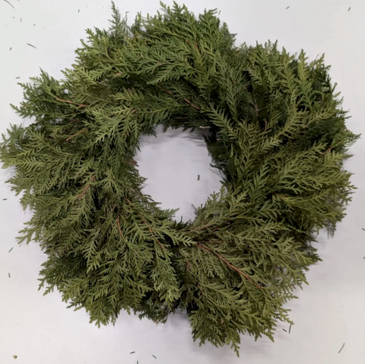 Cedar Wreath